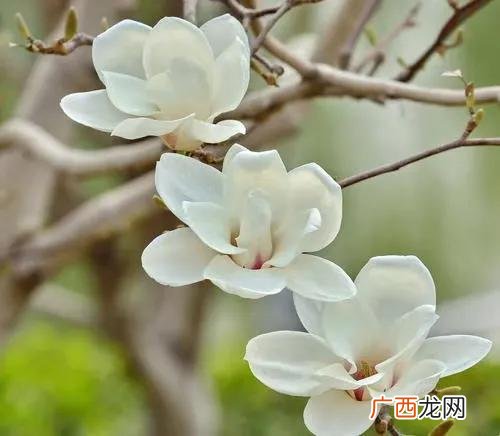 45岁女人适合学什么,适合45岁女人的工作