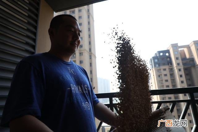 啤酒机器设备全套多少钱,家庭酿啤酒设备一套多少钱