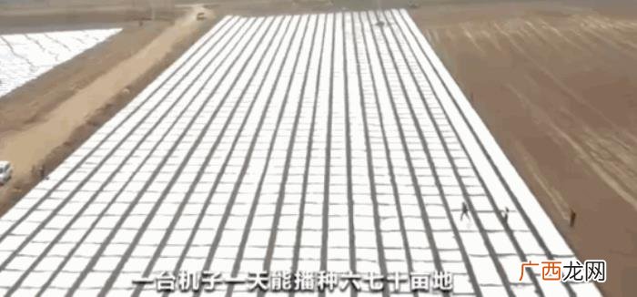 但是一个人好像太无聊了 太无聊了
