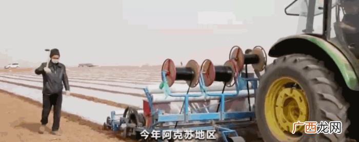 但是一个人好像太无聊了 太无聊了