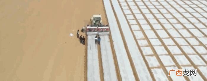 但是一个人好像太无聊了 太无聊了