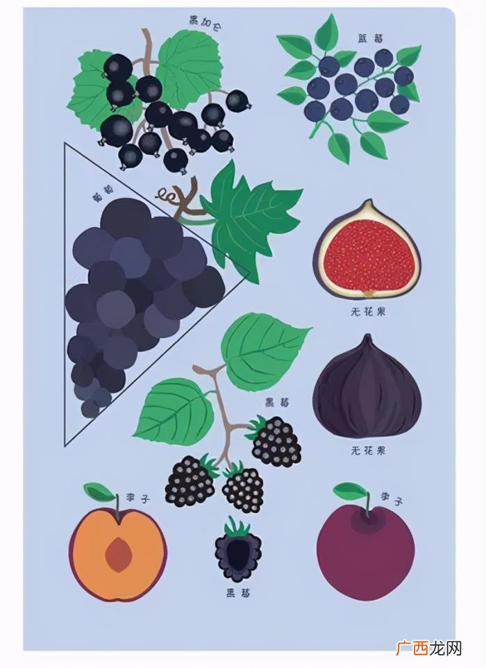 搞定孩子的圣诞礼物 平安夜送孩子什么礼物好