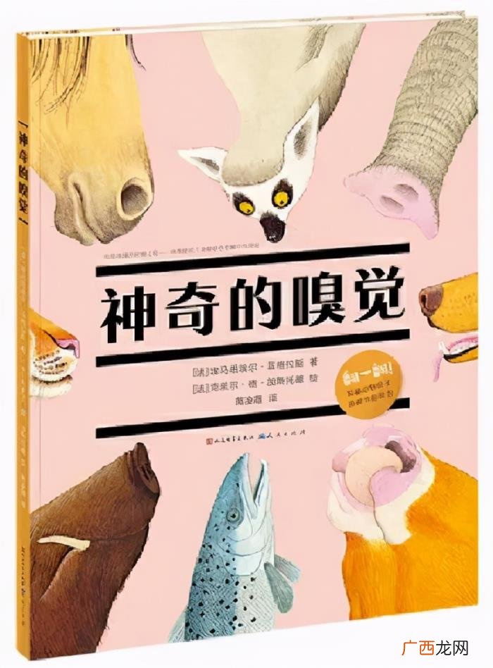 搞定孩子的圣诞礼物 平安夜送孩子什么礼物好