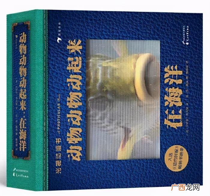 搞定孩子的圣诞礼物 平安夜送孩子什么礼物好