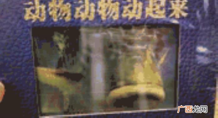 搞定孩子的圣诞礼物 平安夜送孩子什么礼物好