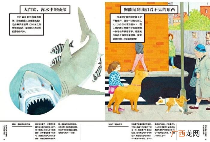 搞定孩子的圣诞礼物 平安夜送孩子什么礼物好