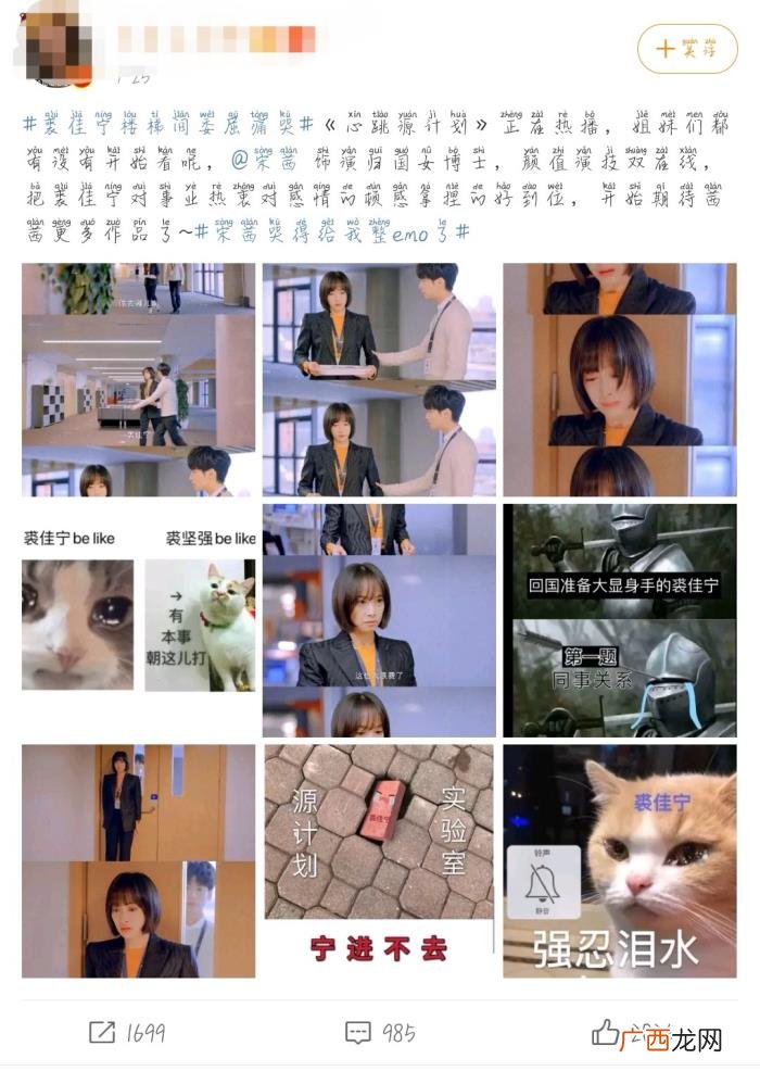 宋茜感情经历，宋茜这些年到底经历了什么