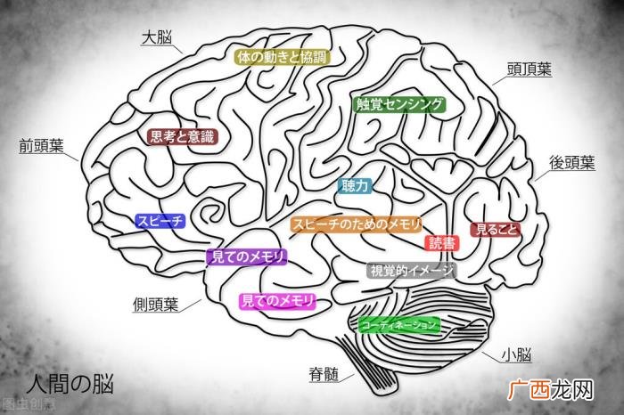 为什么和女生聊天找不到话题，让你成为聊天沟通的高手