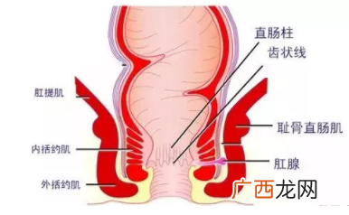 肛瘘非手术治疗才可以吗？手术是治疗的关键途径
