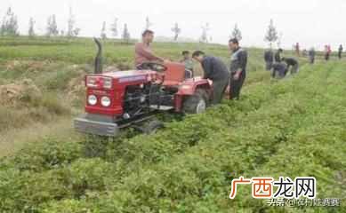 农村白手起家赚钱项目 农村现在干什么赚钱