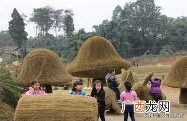 农村白手起家赚钱项目 农村现在干什么赚钱