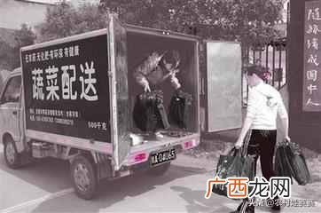 农村白手起家赚钱项目 农村现在干什么赚钱