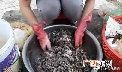 农村白手起家赚钱项目 农村现在干什么赚钱