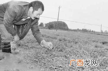农村白手起家赚钱项目 农村现在干什么赚钱