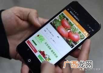 农村白手起家赚钱项目 农村现在干什么赚钱