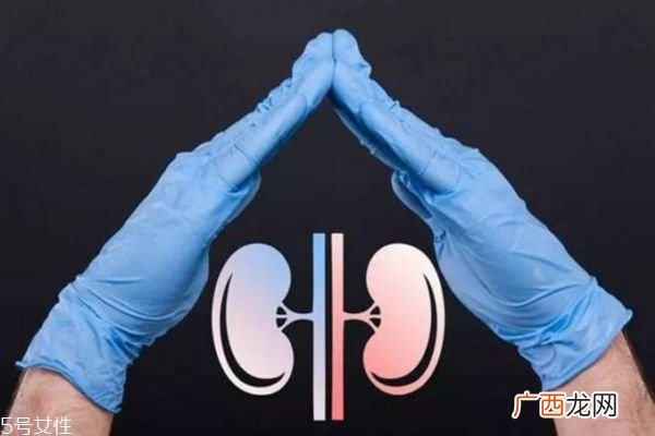 什么是肾结石肾结石的症状表现