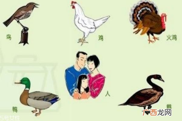 禽流感是什么病呢如何预防禽流感呢