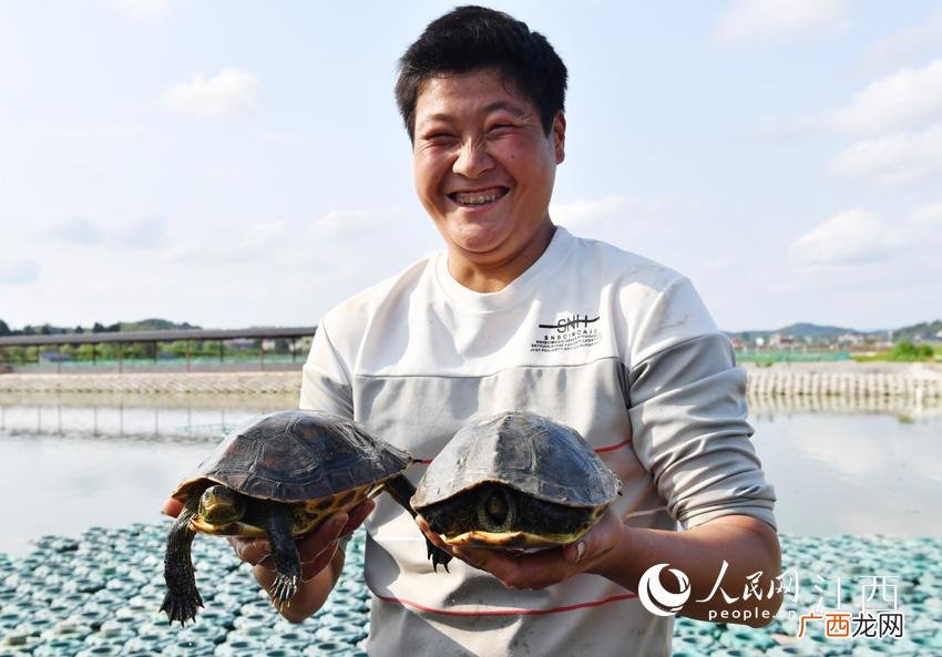 龟鳖鼋鼍 浦东龟鳖养殖基地在哪