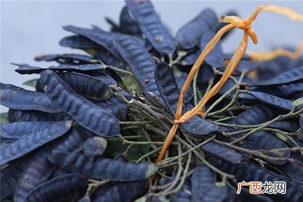 头发白是什么原因引起的不能治愈的白发病