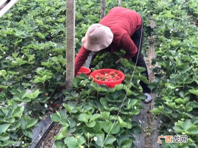 赚钱快的路子,有没有什么赚钱的路子身无分文啊