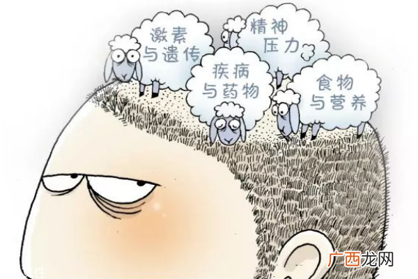 掉发多是什么原因帮你解决掉发烦恼