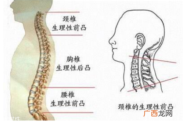 长短腿怎么矫正长短腿的危害