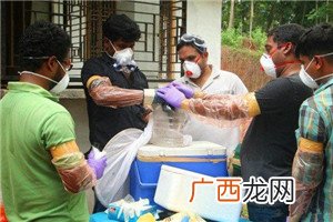 尼帕病毒是什么病尼帕病毒怎么回事