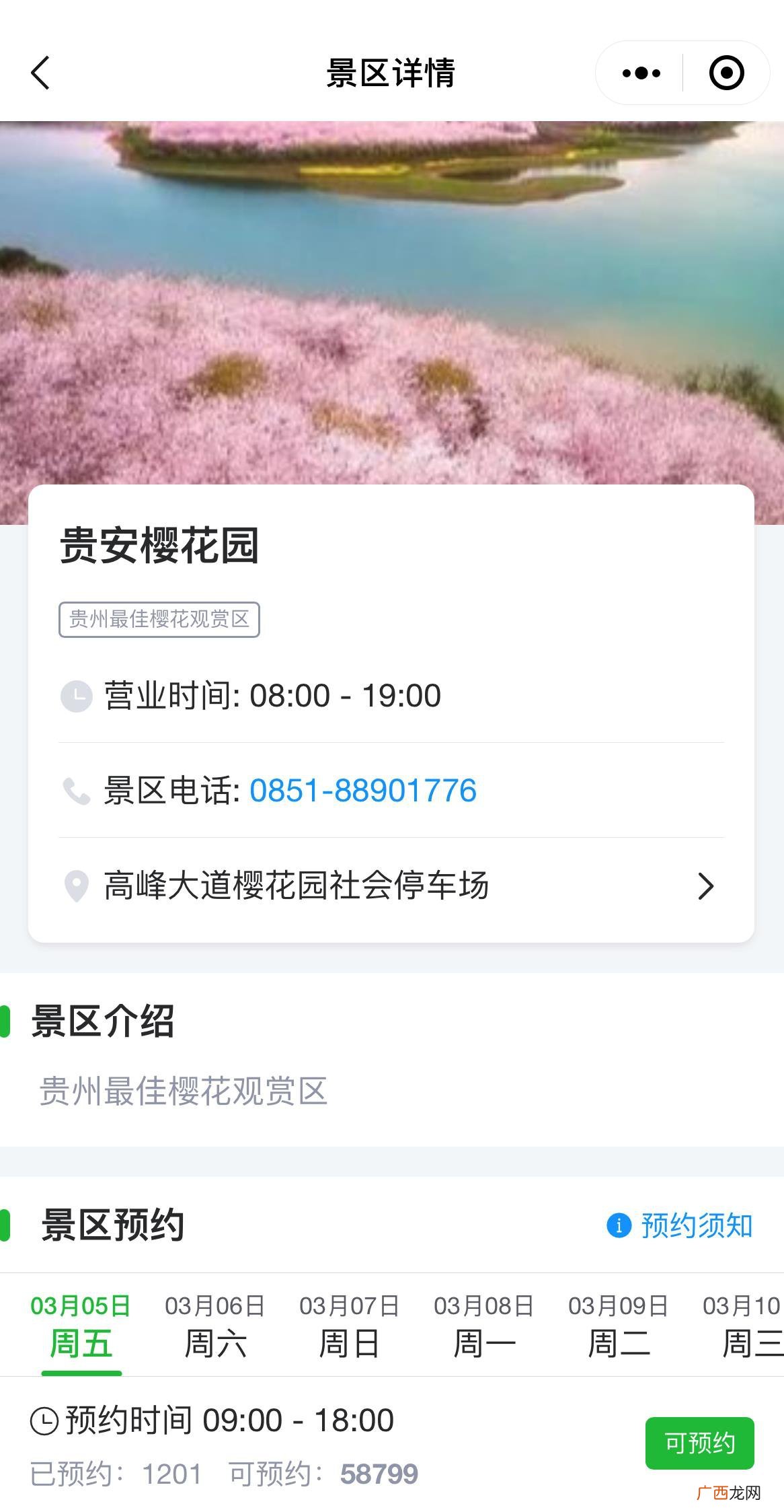 2022年平坝樱花开了吗？