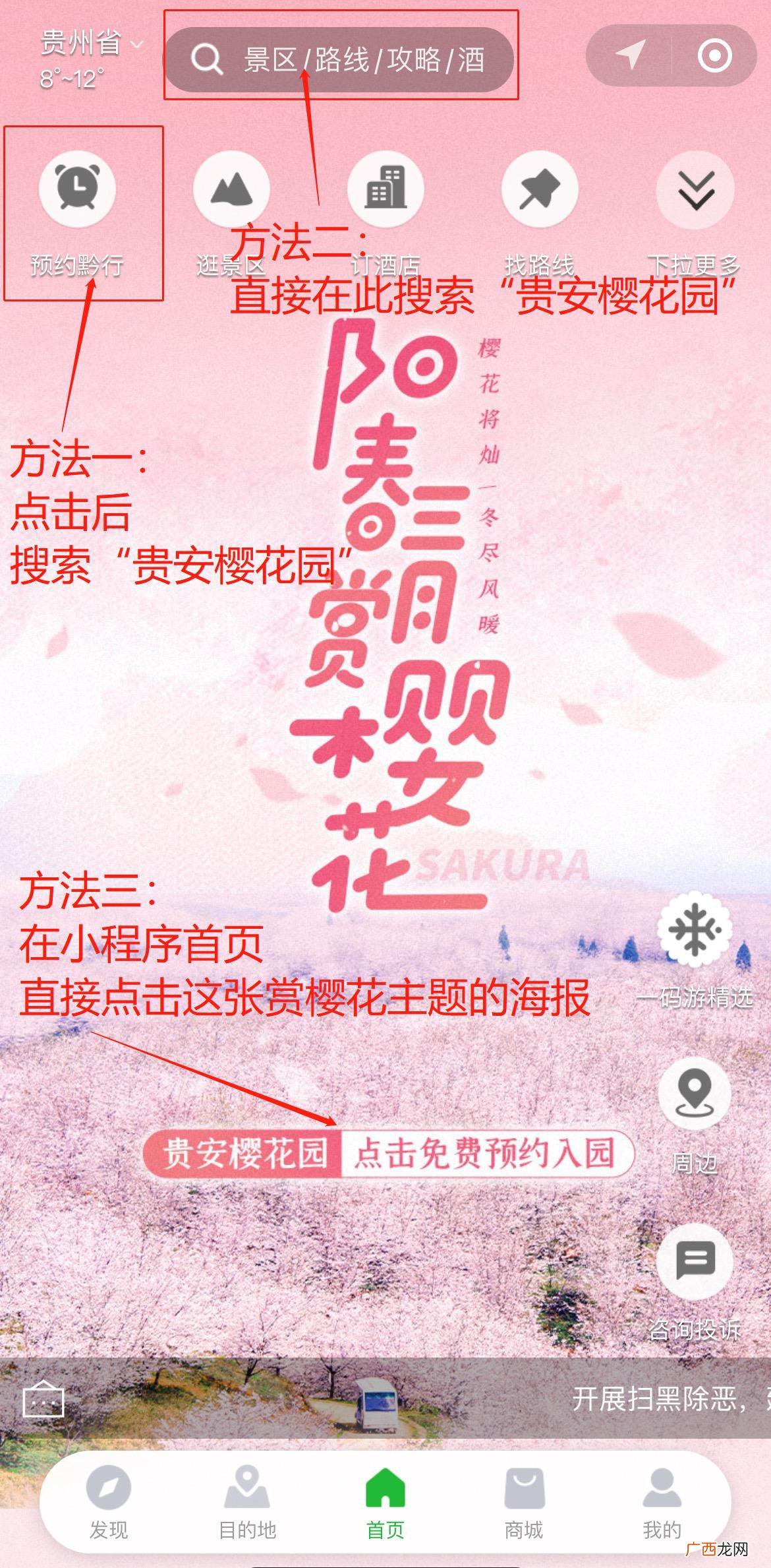 2022年平坝樱花开了吗？