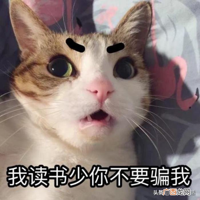 爆笑经典减肥搞笑笑话 减肥笑话