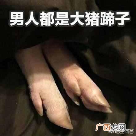 网络上大猪蹄子是什么意思（“大猪蹄子”到底