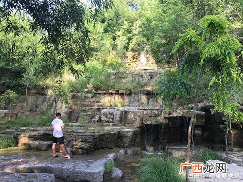 致富经野鸭养殖 山东野鸭养殖基地
