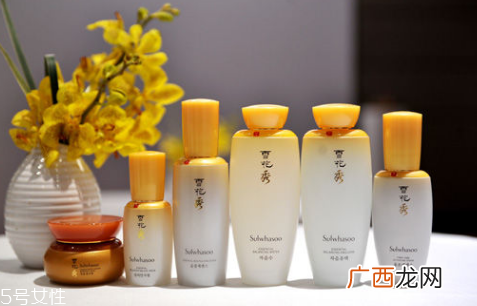 雪花秀哪个系列好用？韩国公认好的护肤品牌