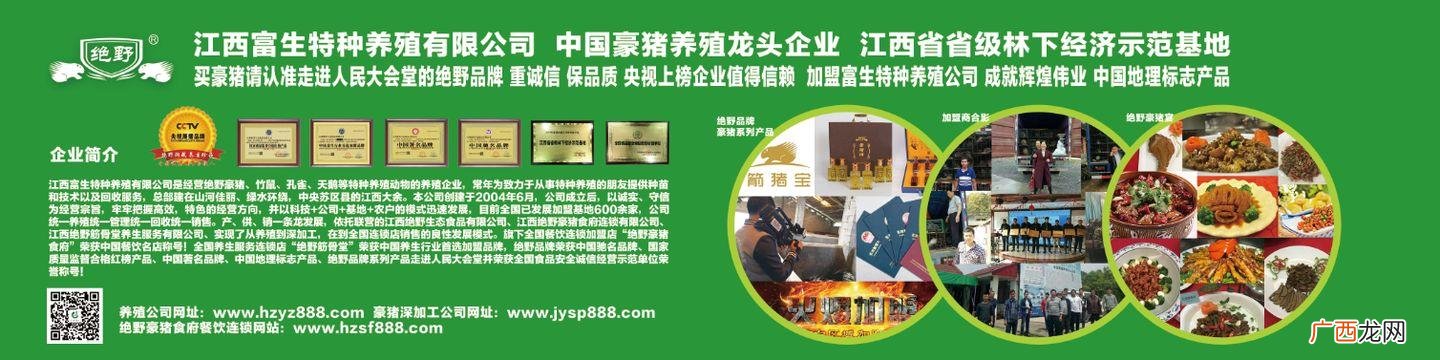 豪猪养殖 江西省特种养殖