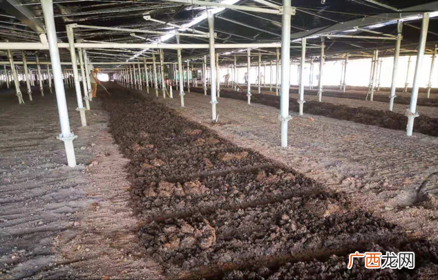 养殖蚯蚓一亩地投资多少 秸秆蚯蚓养殖技术