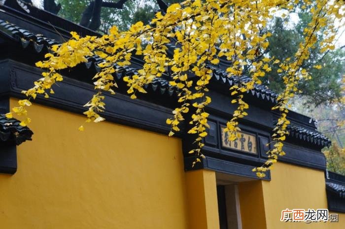 100个形容风景优美的成语 形容景色优美的成语