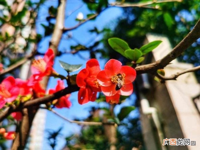 100个形容风景优美的成语 形容景色优美的成语