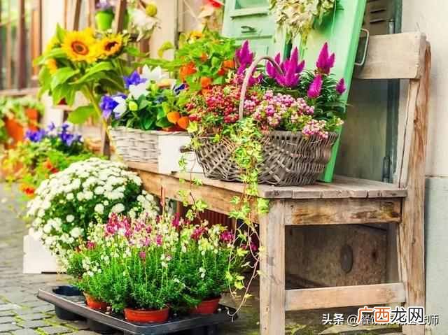 开实体鲜花店有什么优势（现在实体花店好做吗