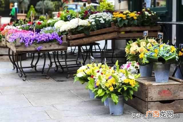 开实体鲜花店有什么优势（现在实体花店好做吗