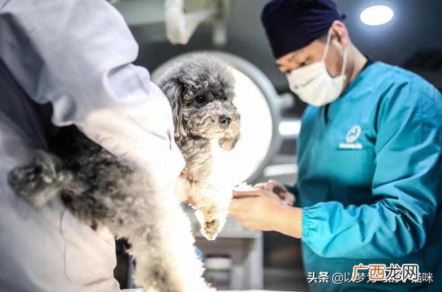 没学历最吃香的职业 什么行业冷门赚钱