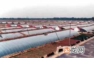 农村做什么小生意好 在农村投资做什么赚钱