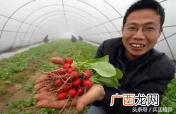 农村有什么生意能挣钱吗（现在农村做什么项目