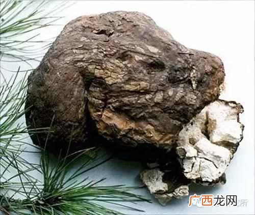 一点点中的仙草是什么(奶茶中常见的配料是什