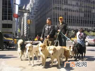 什么职业赚钱又轻松（又轻松又赚钱的工作参考