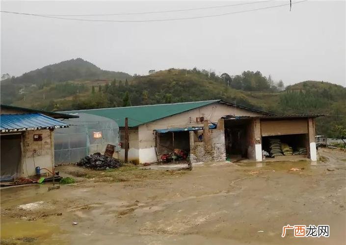 养殖业的产品和服务 与养殖场利益分配