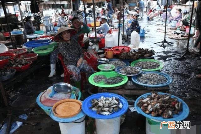 越南海鲜如何进货 越南养殖海鲜