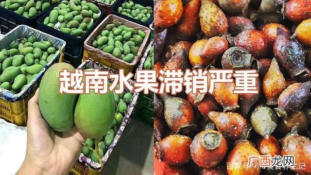 越南海鲜如何进货 越南养殖海鲜