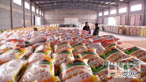 一亩地蚯蚓养殖利润 致富经四川蚯蚓养殖