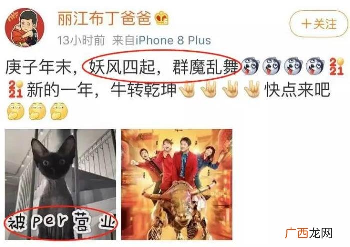 张碧晨华晨宇邓紫棋，华晨宇张碧晨邓紫棋的魔幻巨瓜