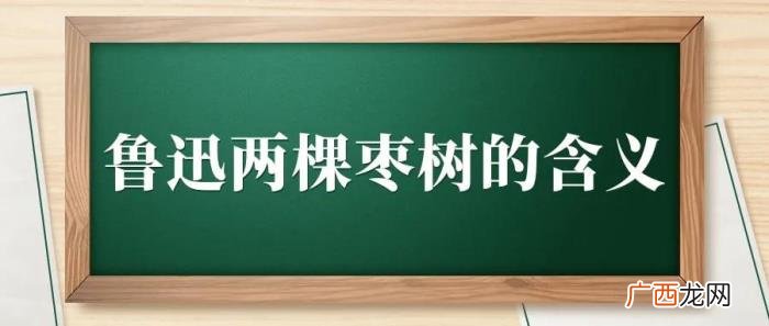 现代诗歌著名作家,中国现代诗歌崩溃